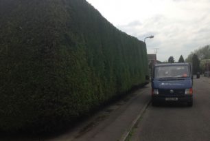 Hedge Trimming In Aylesbury