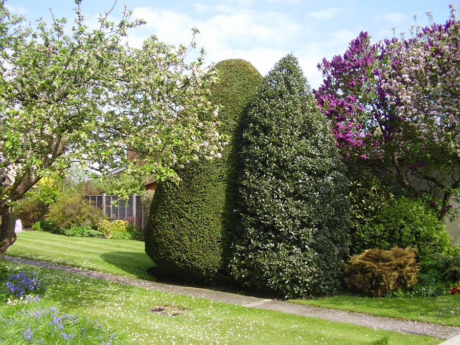 Hedge Pruning Towersey