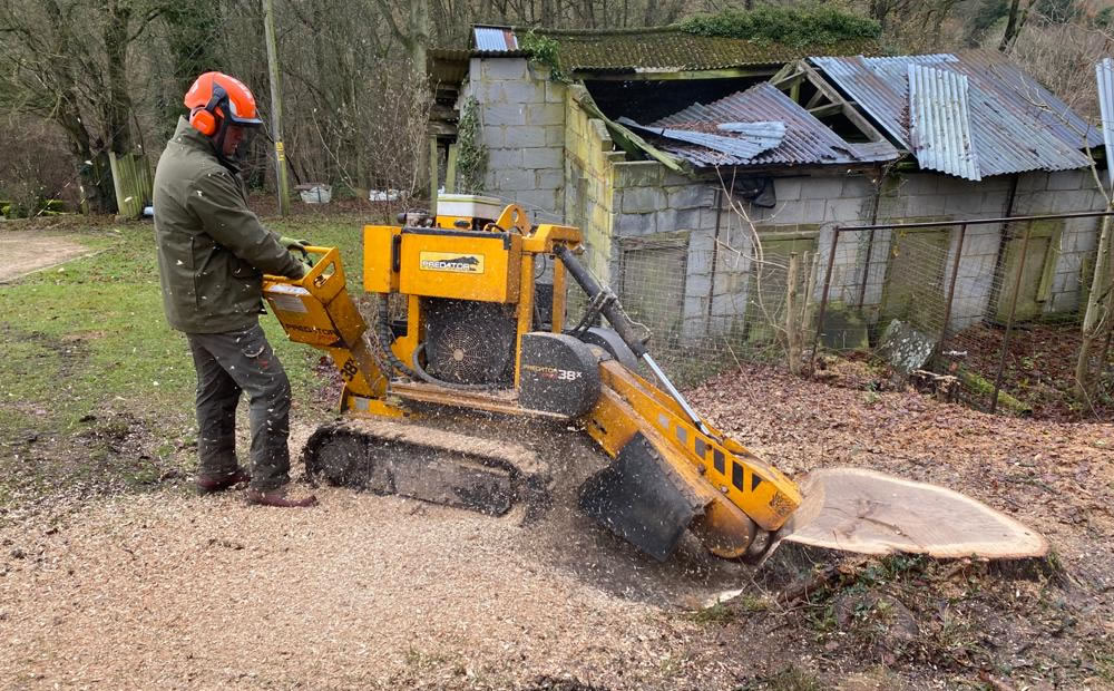 Stump grinding service in Thame